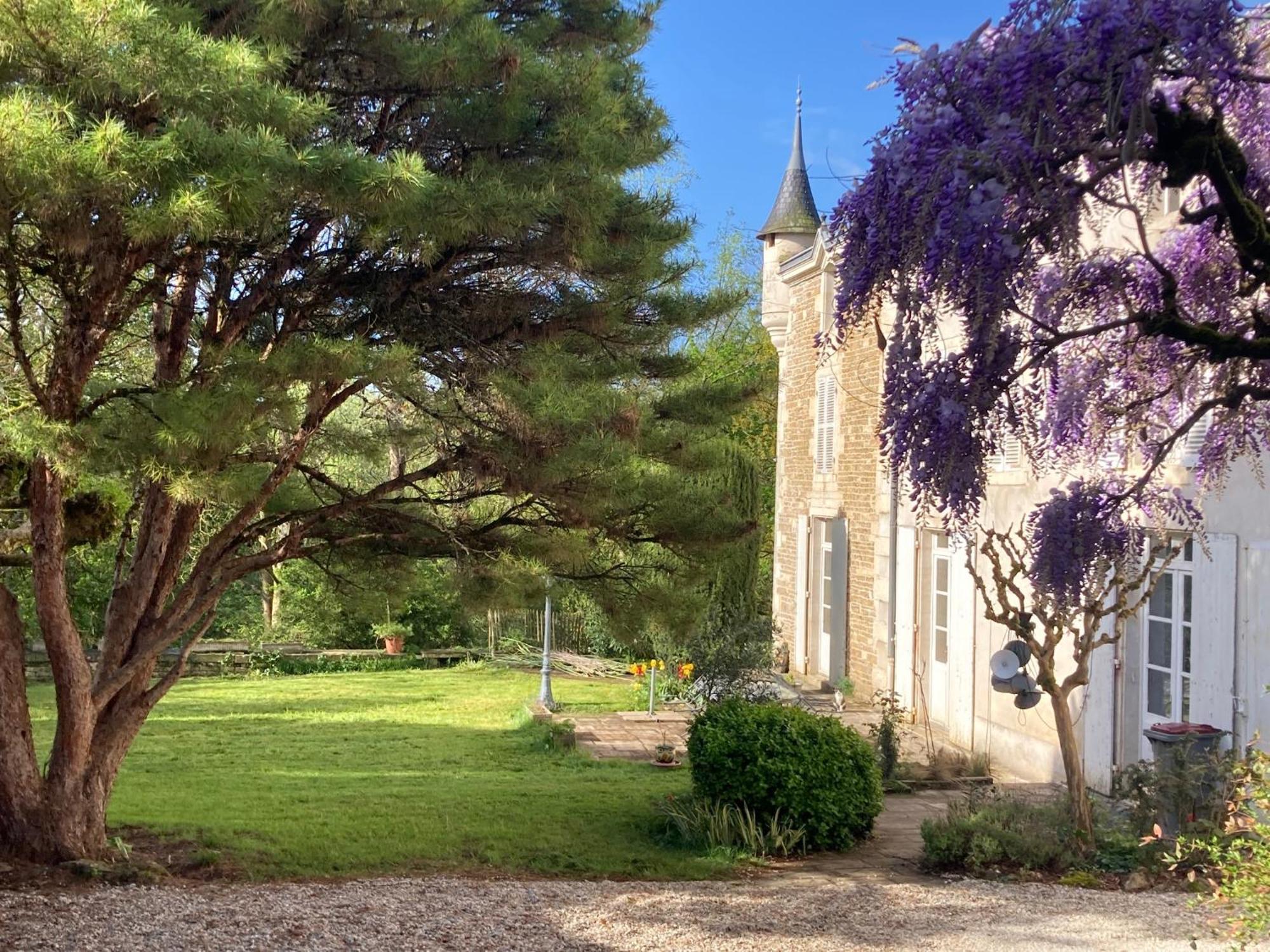 Mazette! Le Chateau นีออร์ ภายนอก รูปภาพ